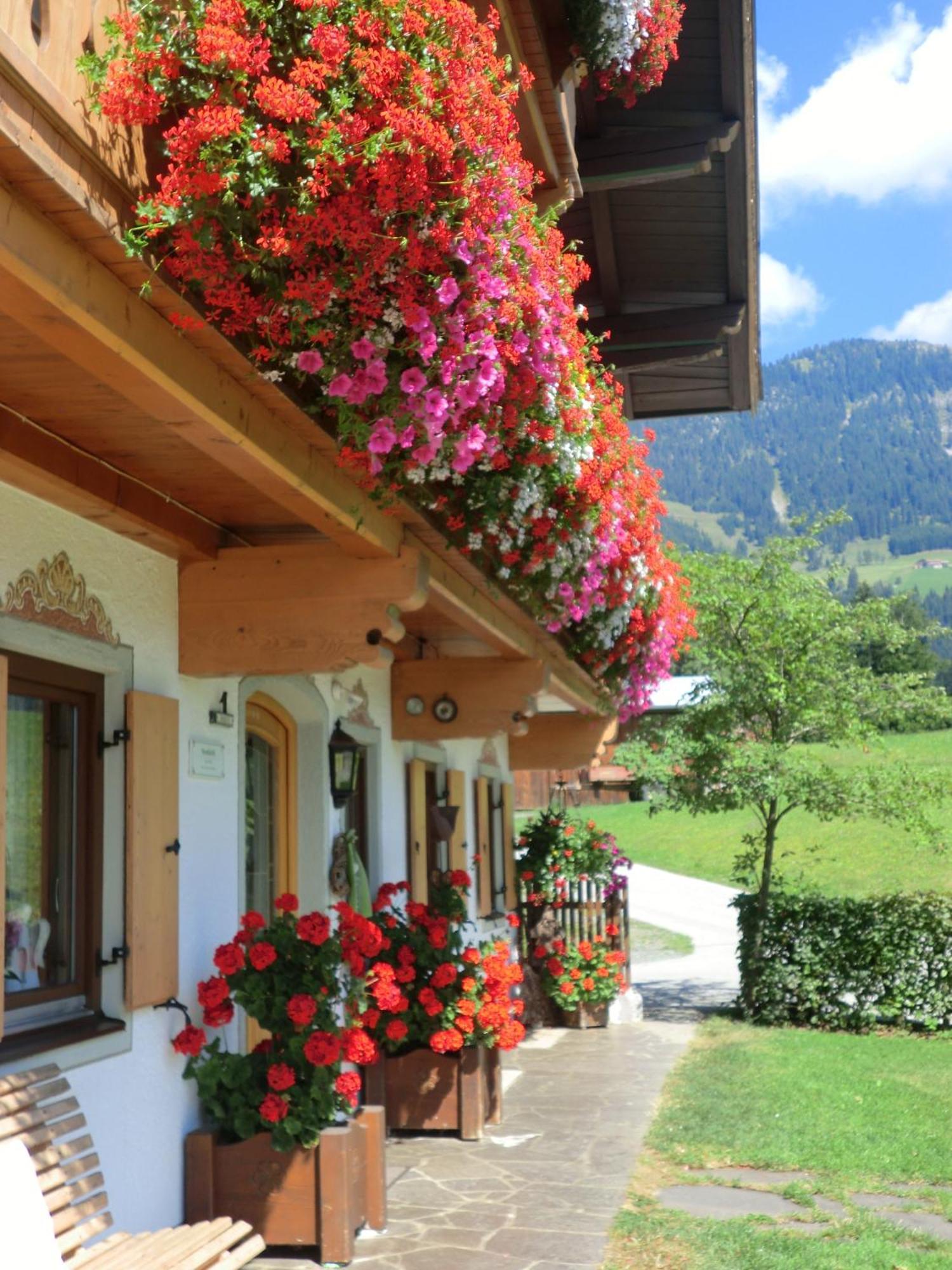 Vornbichlhof Lägenhet Fieberbrunn Exteriör bild