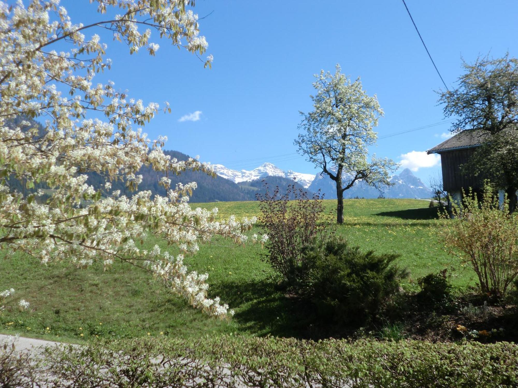 Vornbichlhof Lägenhet Fieberbrunn Exteriör bild